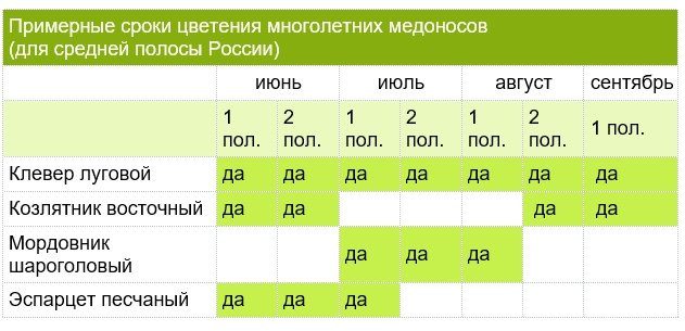 Сроки цветения. Сроки цветения медоносов средней полосы. Календарь цветения медоносов в средней полосе России. Цветение медоносов в средней полосе России. Сроки цветения медоносных растений в средней полосе России.