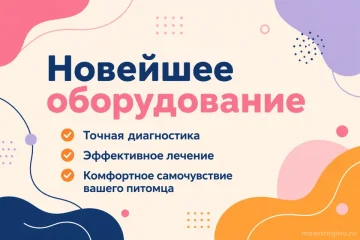 Выездная ветеринарная служба ЗООВЕТ-Дом на улице Рогова фотография 2